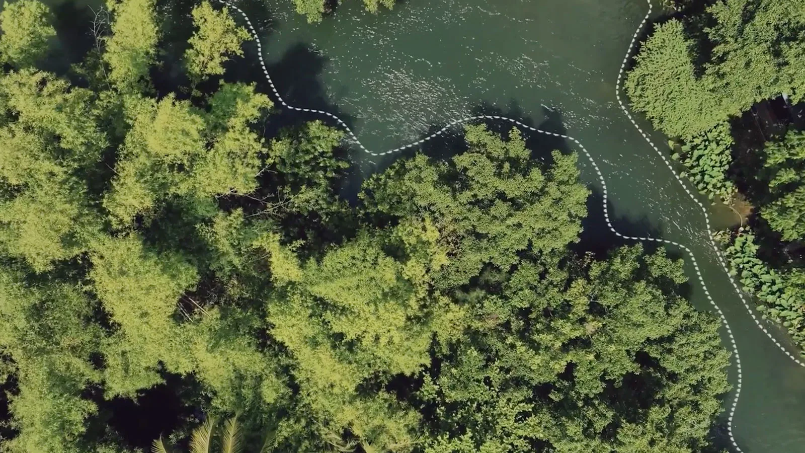 Explore A new sustainability ambition: Regenesis