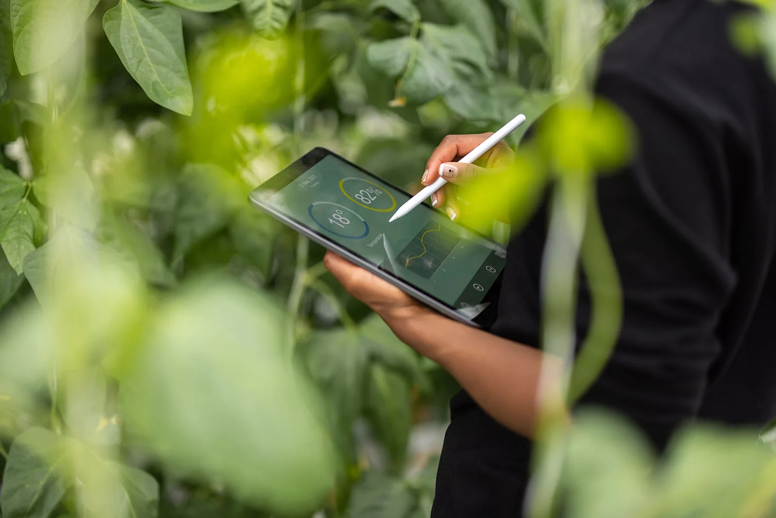 Explore next steps from EAT Community
