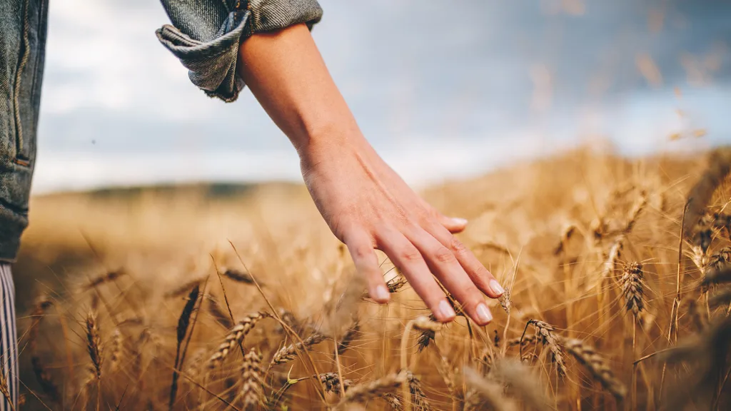 Explore how Griffith Foods is pioneering regenerative agriculture 