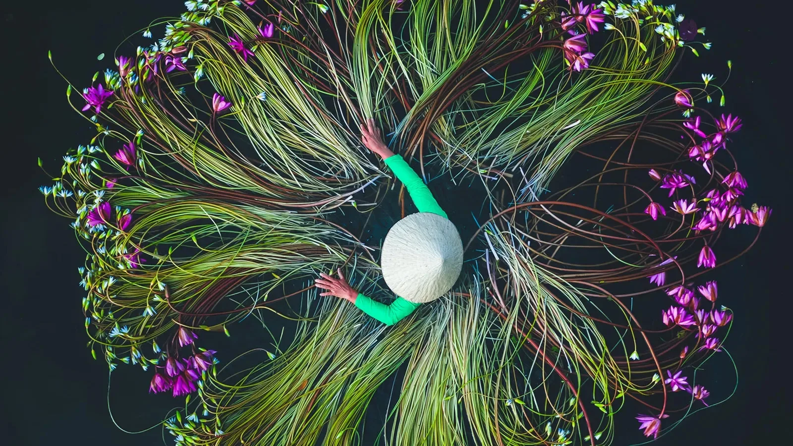 Read the excecutive summary