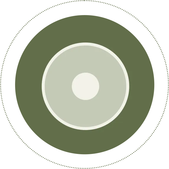 Solution: CO_LAB