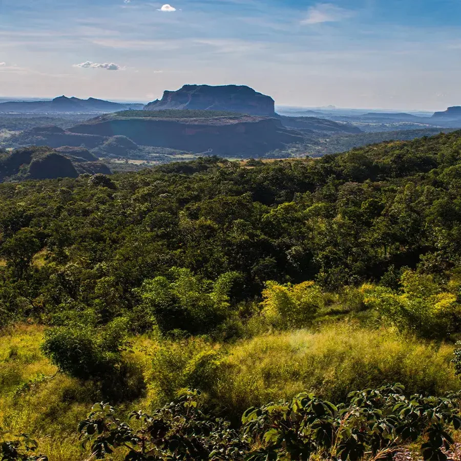 Landscape Accelerator – Brazil