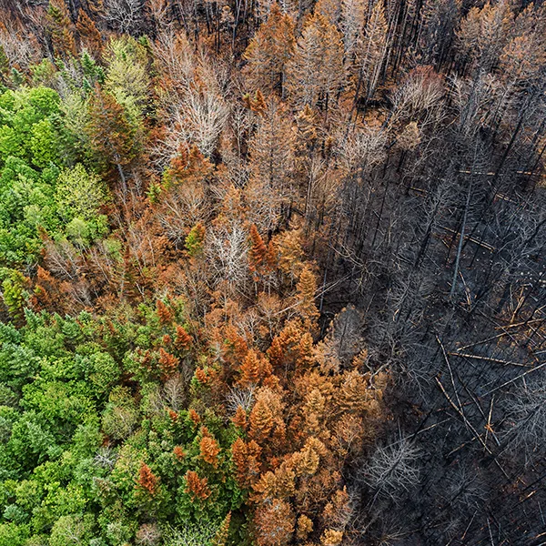Climate change is impacting business today