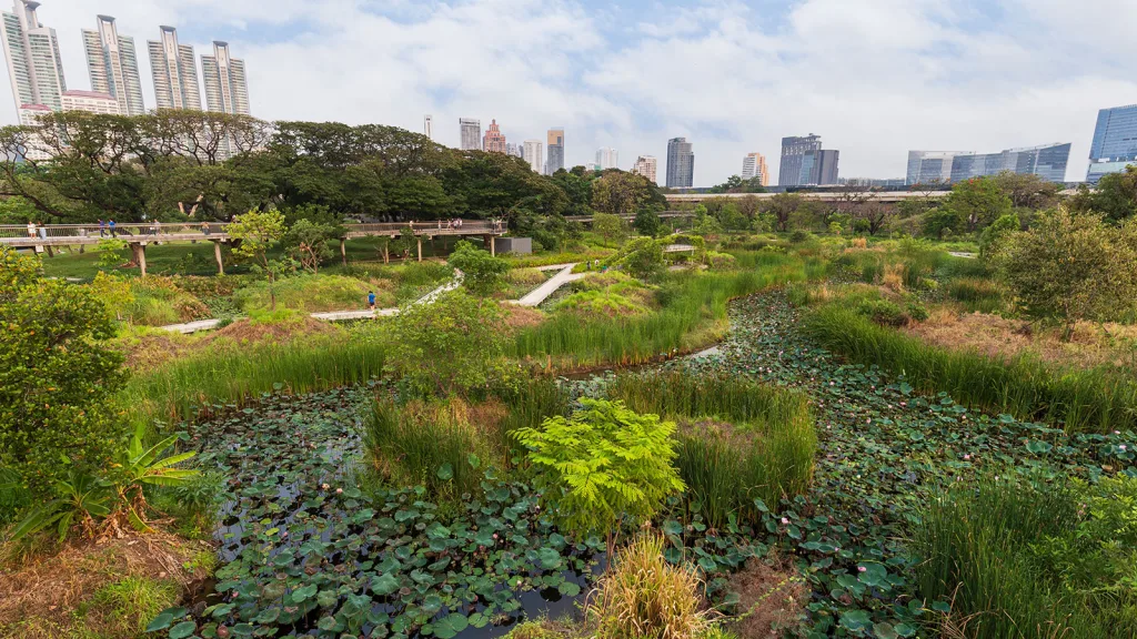 Business action for climate mitigation and adaptation