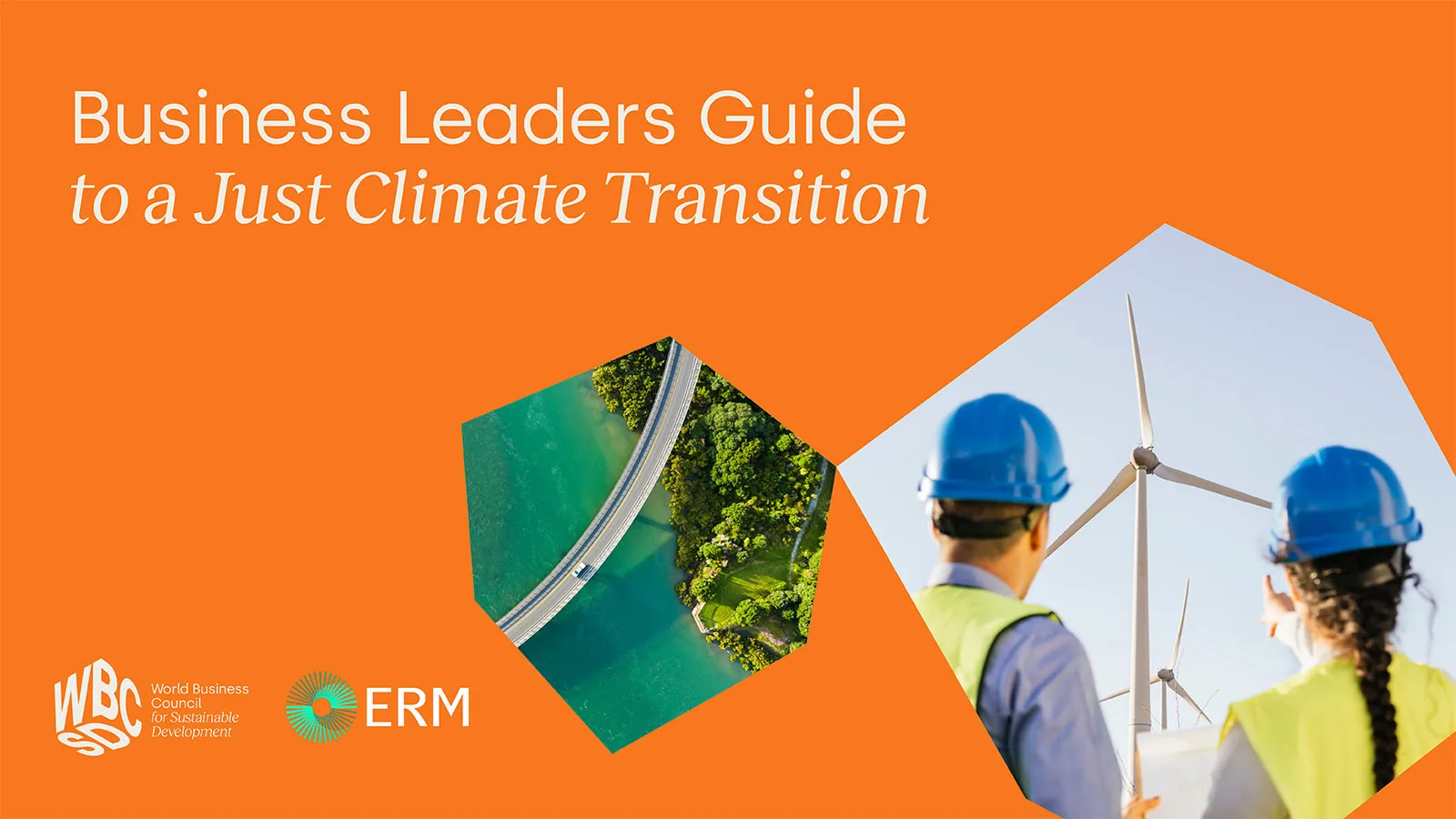 Download Business Leaders Guide to a Just Climate Transition