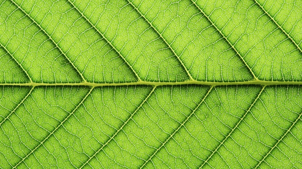 Embedding sustainability to build business resilience