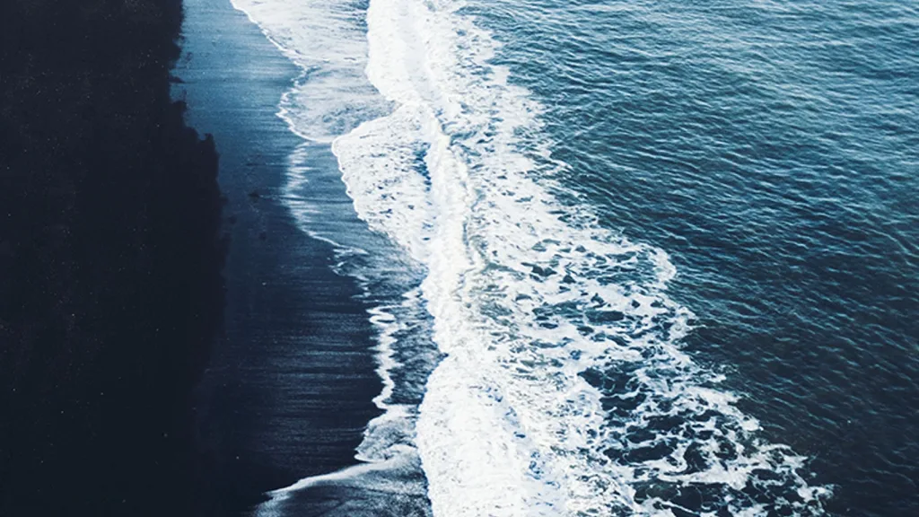 Deloitte Sustainability Survey From Intention to Impact