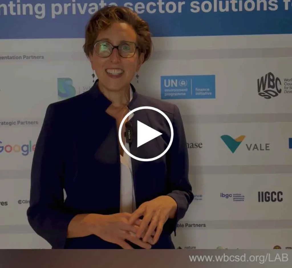 Diane Holdorf at COP30-WBCSD
