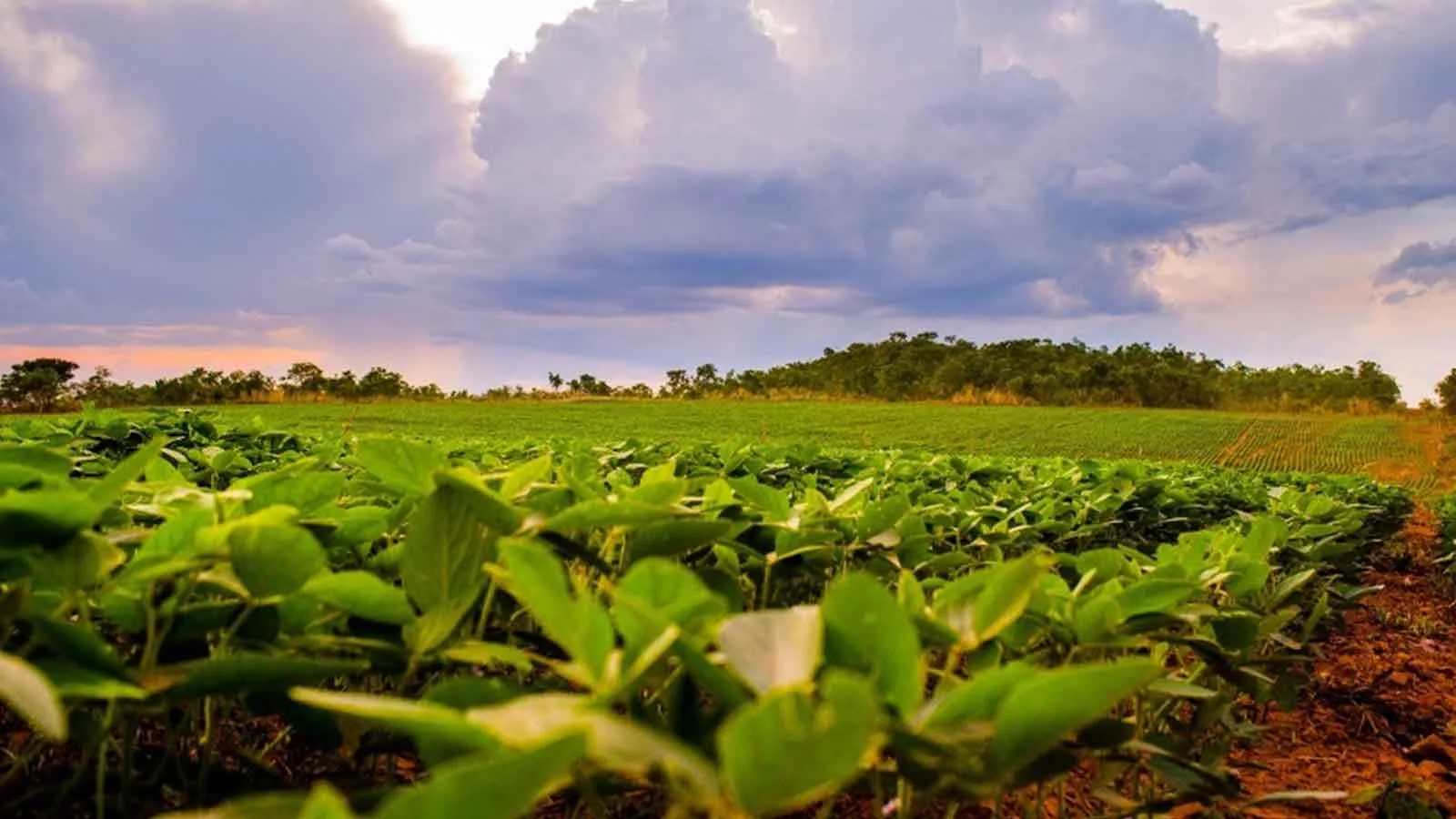 $9 billion invested to regenerate agrifood landscapes and support 12 million farmers worldwide