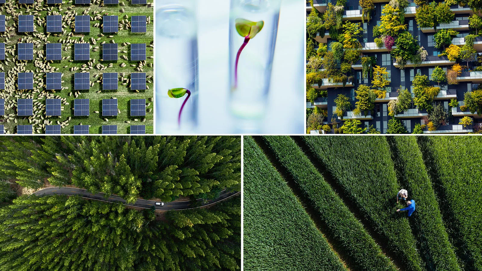 WBCSD launches the Nature Action Portal