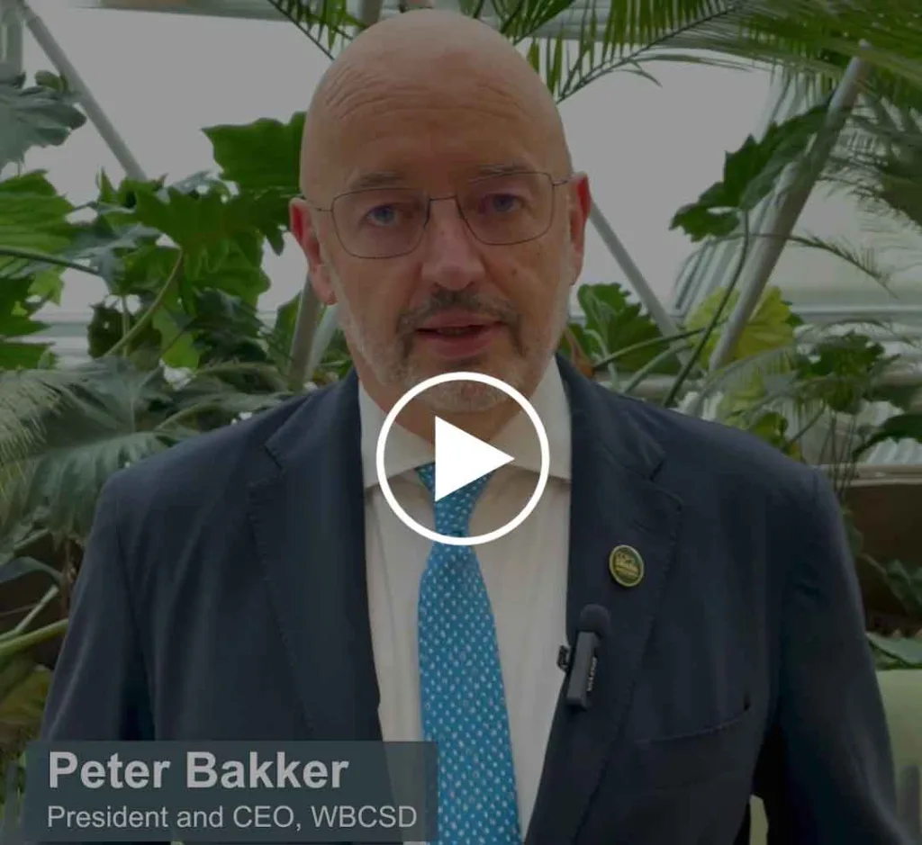 Peter Bakker at COP30