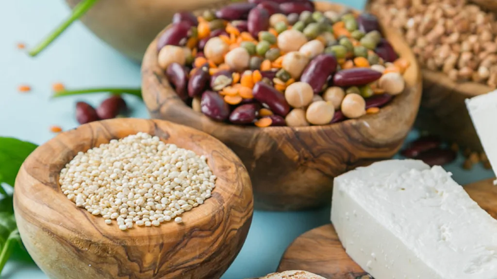 Policies for Protein-Diverse Food Systems