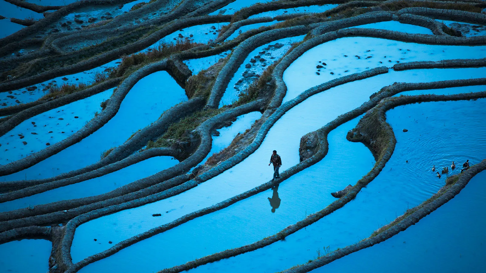 COP30 climate negotiations on adaptation and resilience