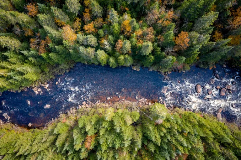 Financing Nature-based Solutions