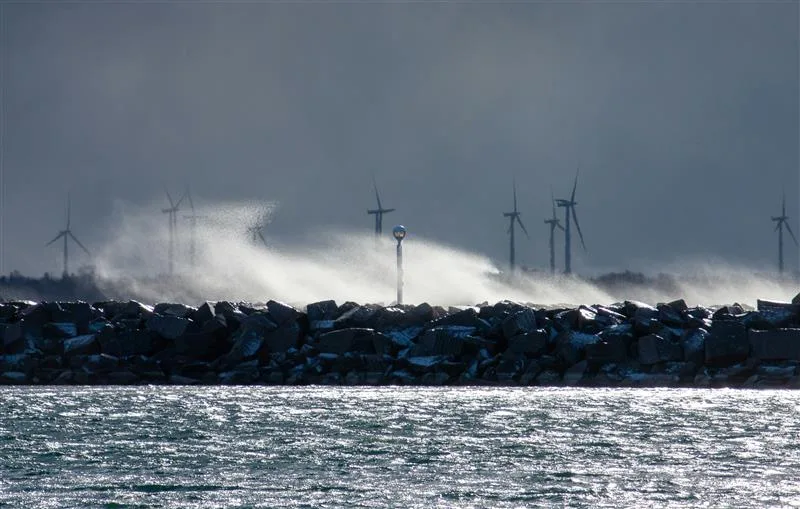 Adapt to storm risks with nature-based solutions