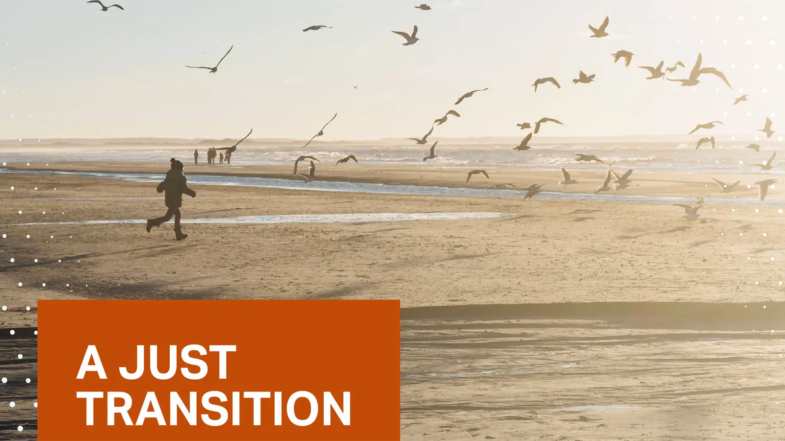 Executive Action Brief for A Just Transition | WBCSD