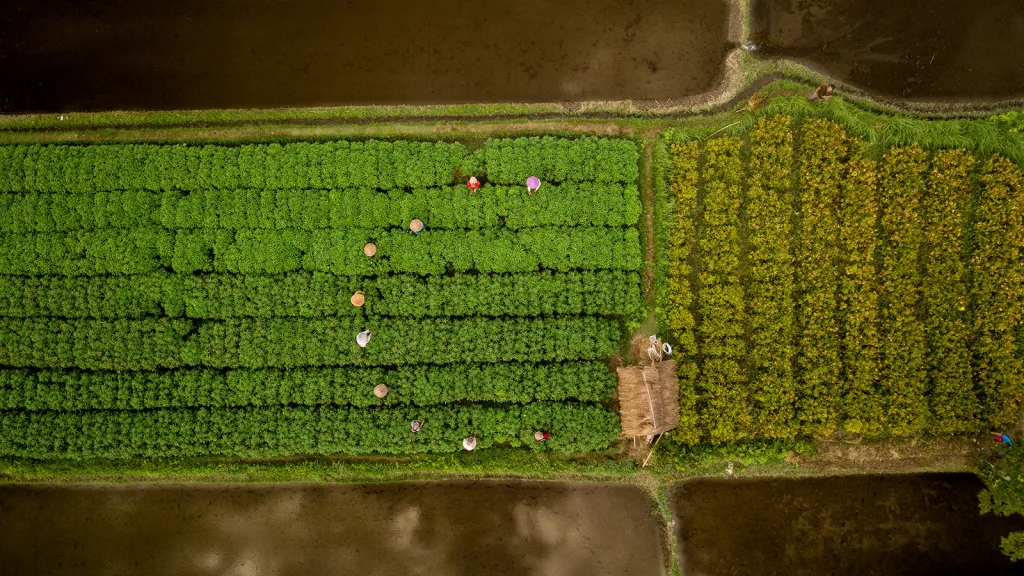 Sustainable-finance-for-regenerative-agriculture-and-nature | WBCSD Mobilizing capital for regenerative agriculture and nature investments
