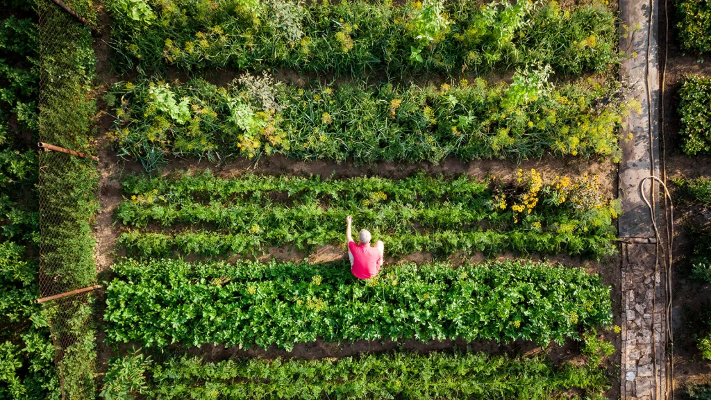 Agriculture & Food Frameworks for Performance 