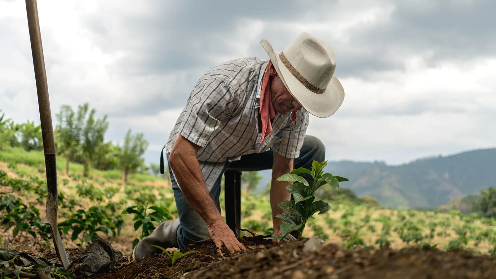 <p>Momentum is Building for Outcome-Based & Holistic Monitoring</p>
