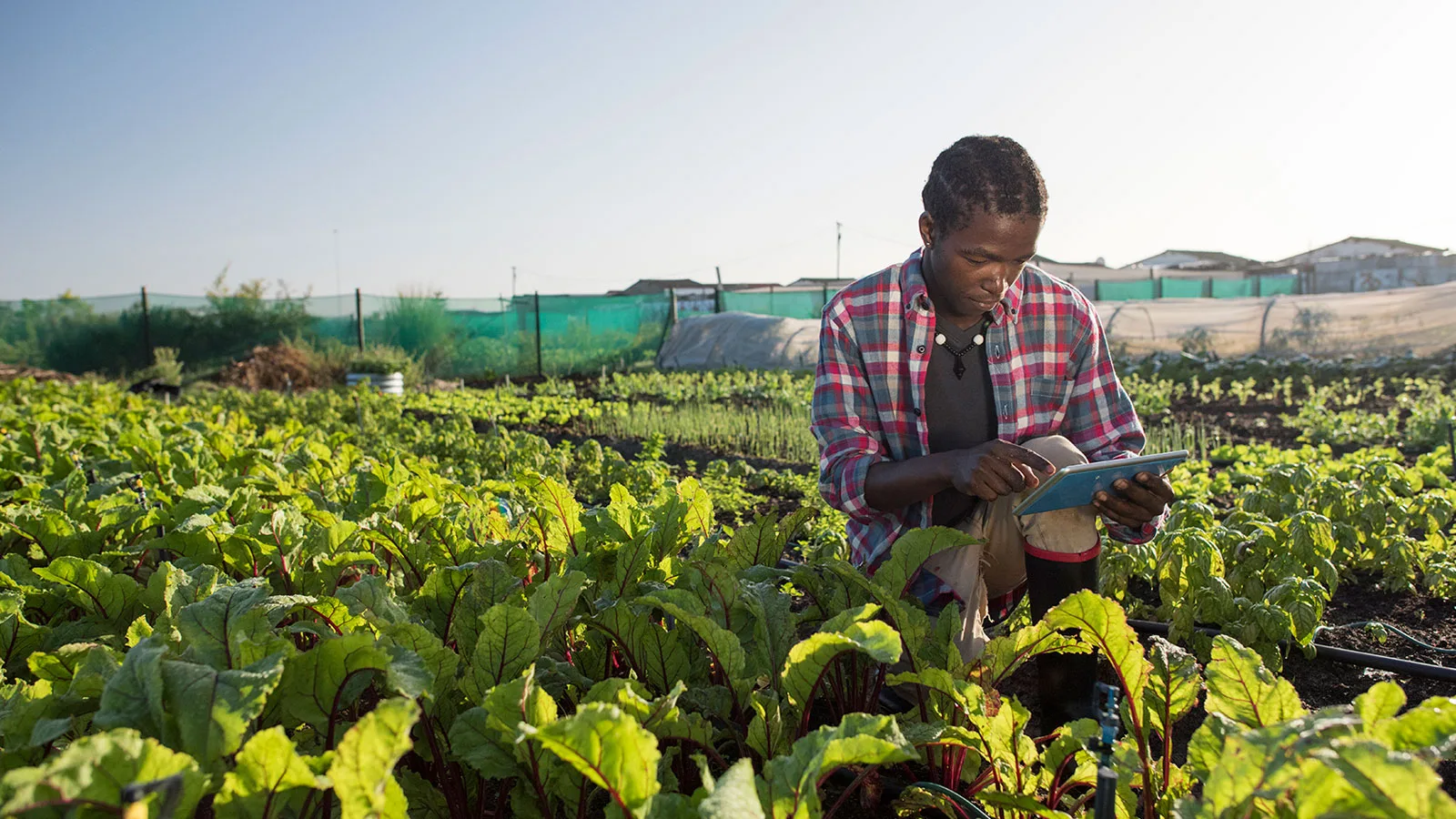 <p>Moving to Action</p>
