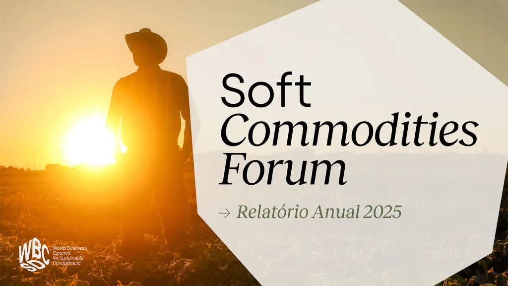 Download Portuguese SCF Annual Report 2025