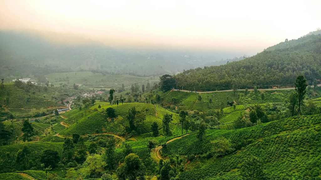 Landscape Accelerator: India (ILA) 