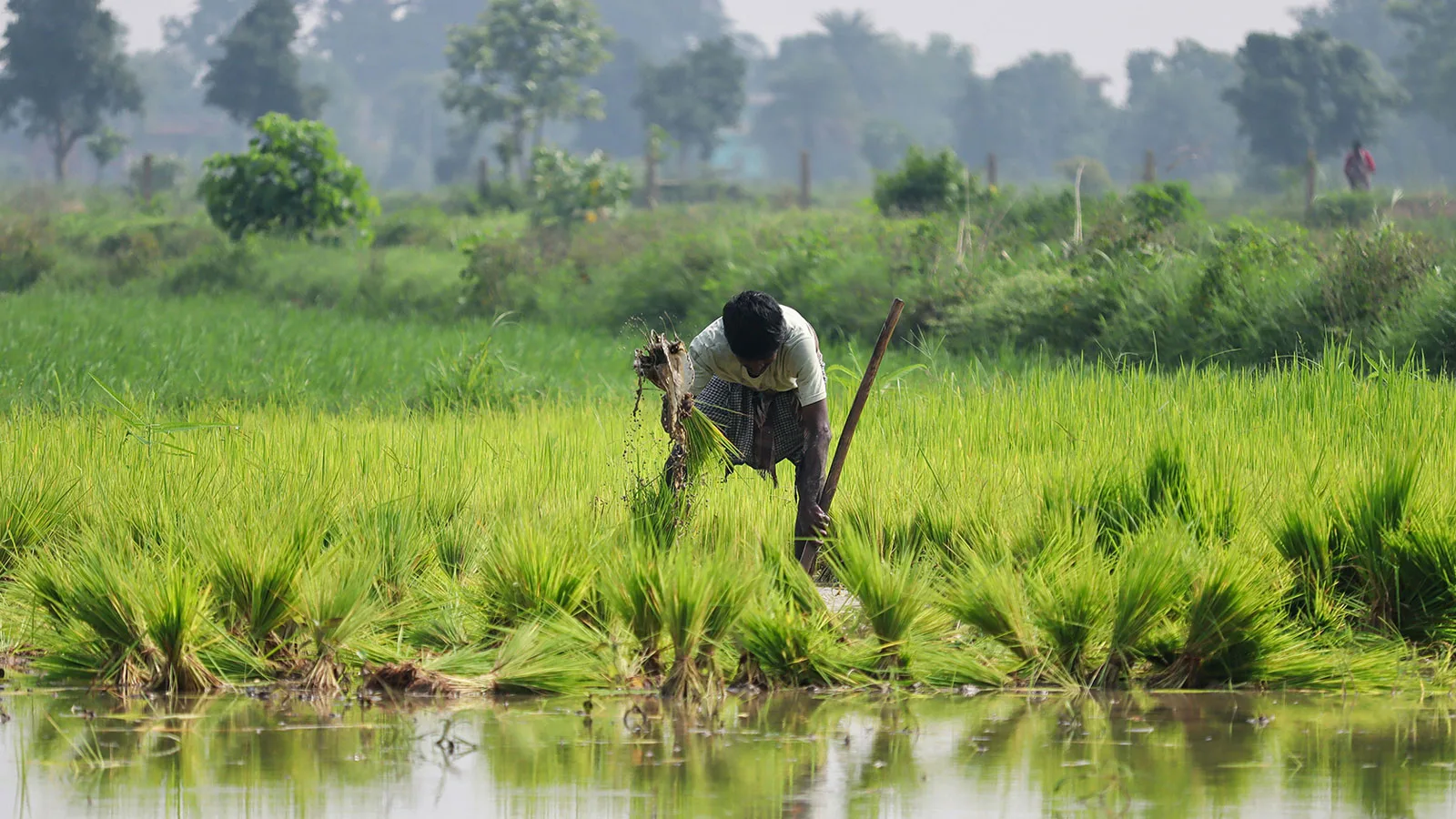 <p>The challenge</p>
