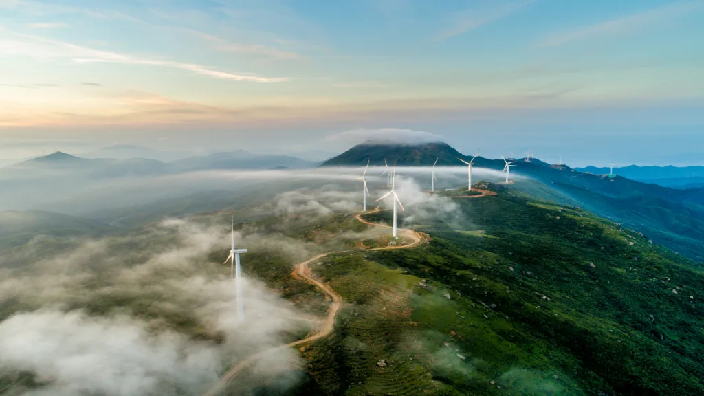 Energy transition solutions for business