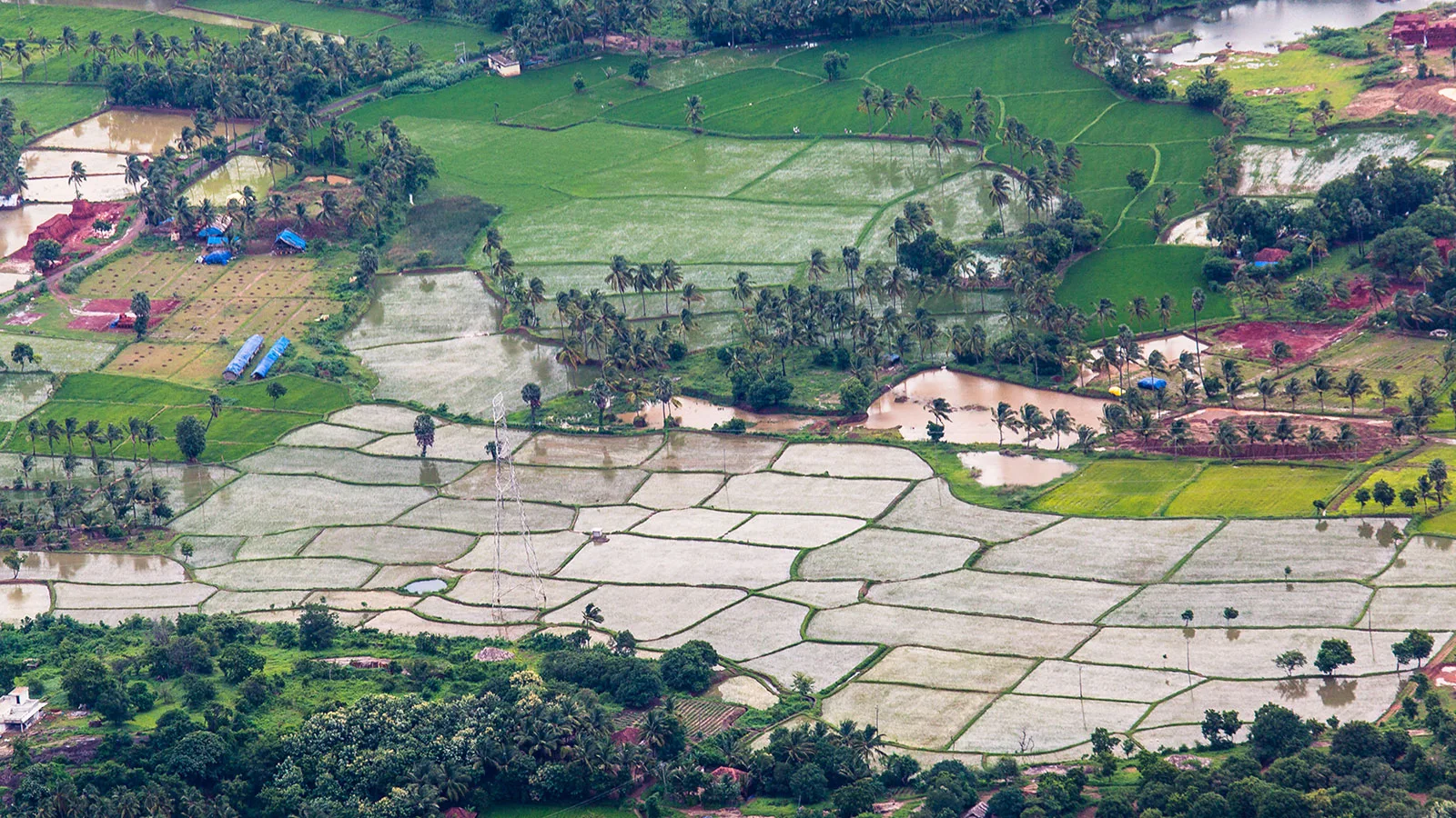 Kickoff of India Landscape Accelerator discussing landscape-scale environmental impact
