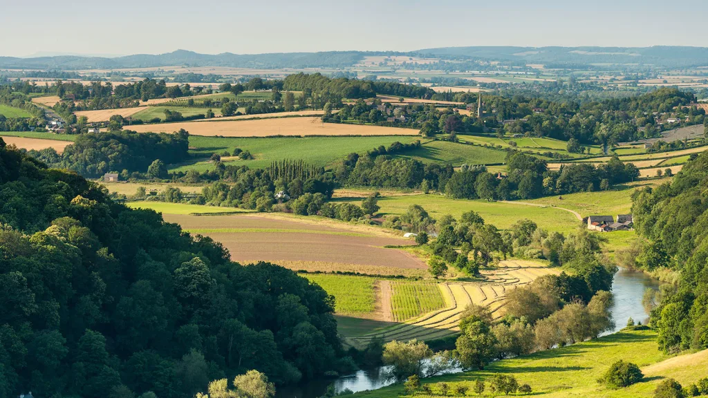  Financing Nature-based Solutions for Business Resilience