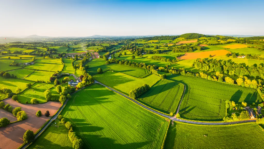 Cross-industry recommendations on scaling the agricultural transition in Europe through public-private co investment.