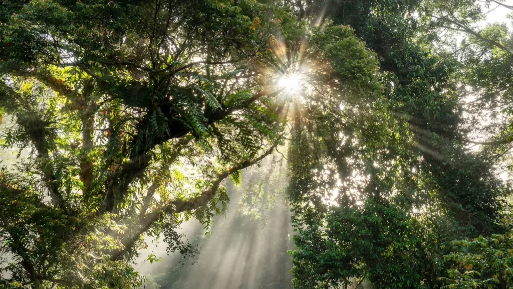 SBTi Corporate Net-Zero Standard Version 2, emphasizing emissions reduction