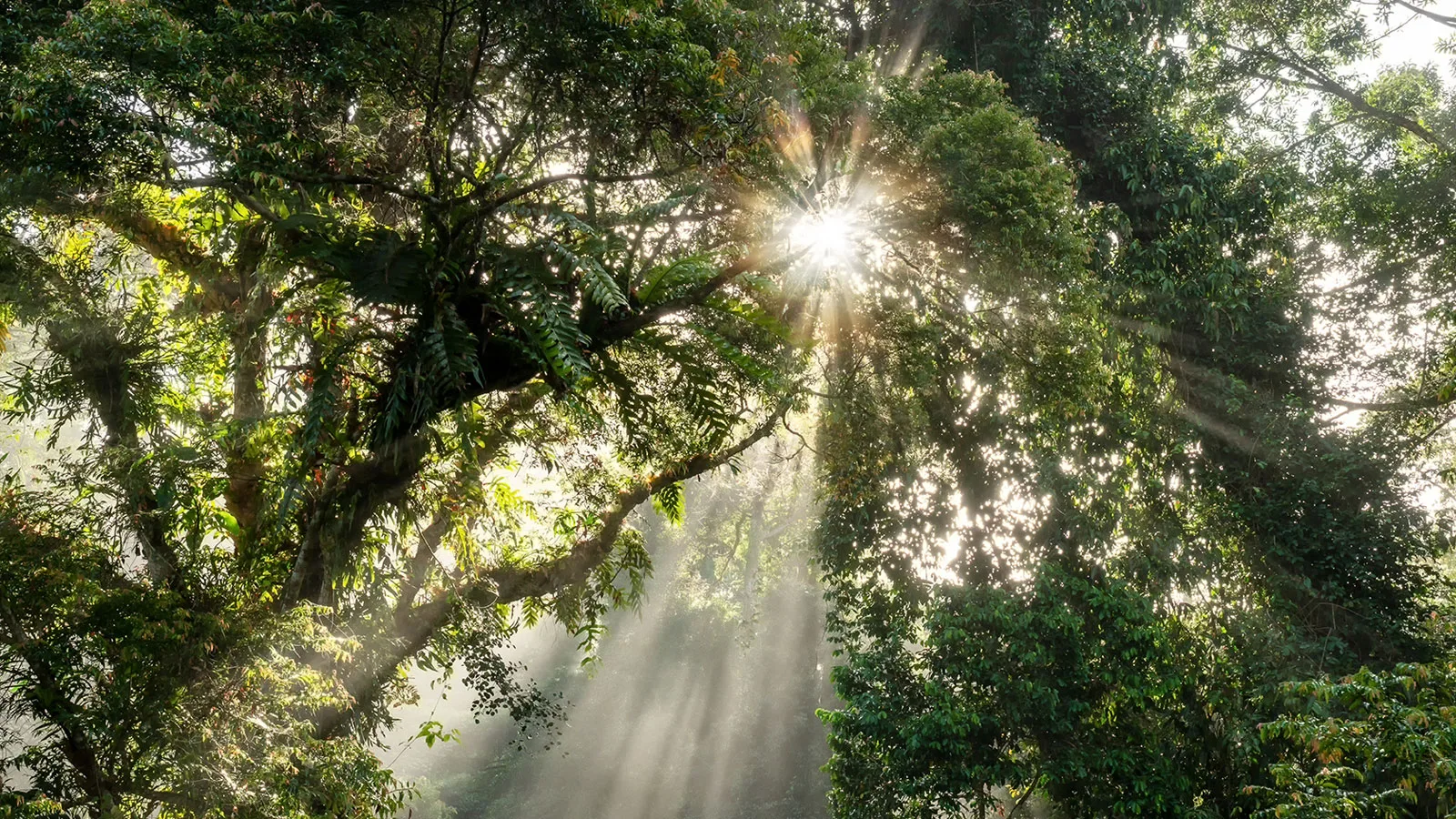SBTi Corporate Net-Zero Standard Version 2, emphasizing emissions reduction