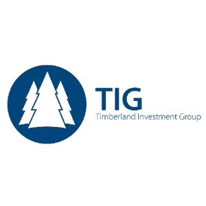 BTG Pactual Timberland Investment Group logo.