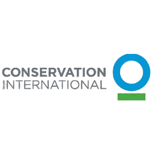Conservation International CI Iogo.