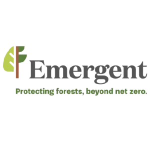 Emergent logo.