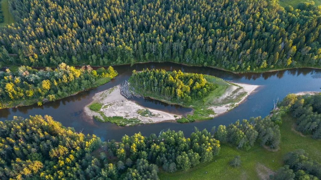 Nature and Ongoing Emissions Responsibility | WBCSD Exploring the role of nature-based carbon