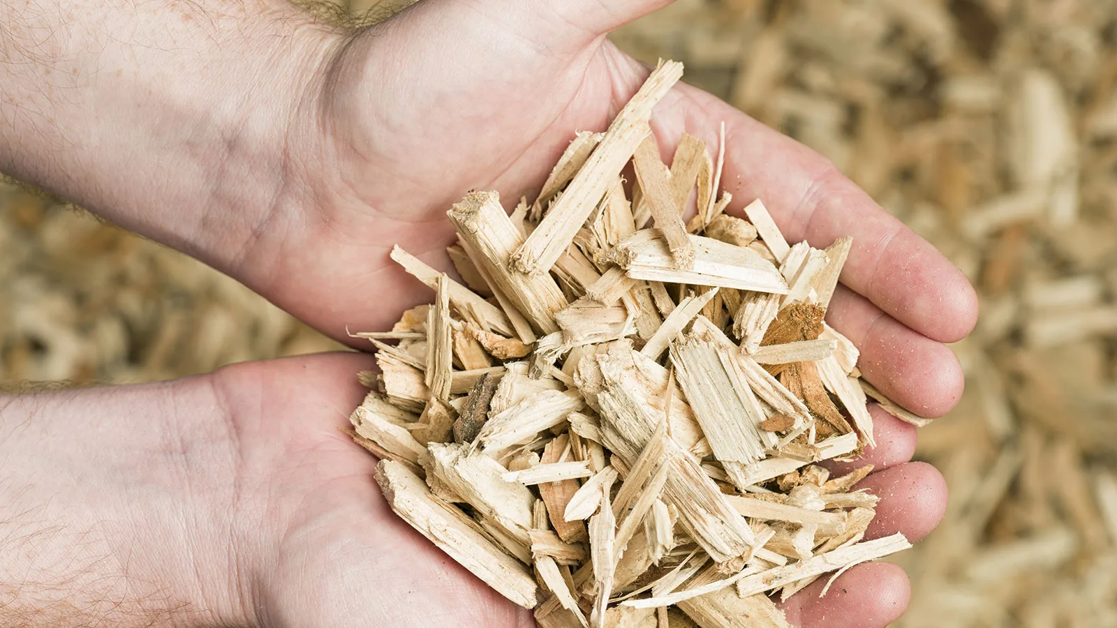 WBCSD sustainable alternative feedstocks guidance