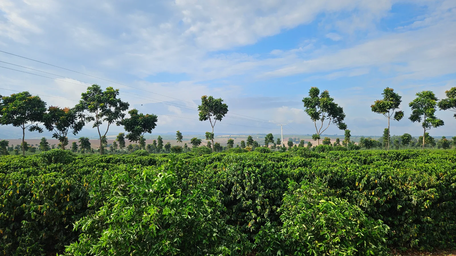 What would it take to turn a landscape’s regenerative potential into projects that can attract and absorb capital at scale?
